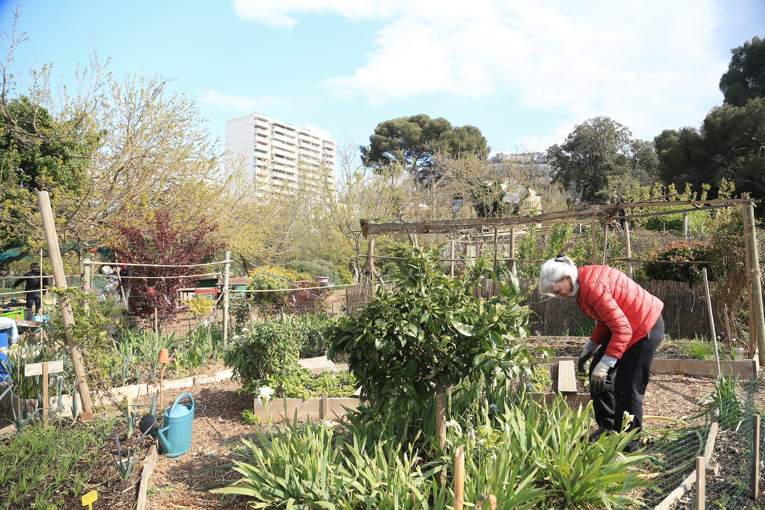 , Le jardin des Fadas Bucoliques à la Pointe-Rouge, une utopie qui s&#8217;épanouit, Made in Marseille