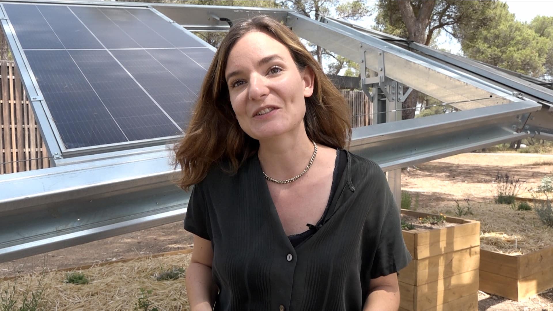 Ombrea, Vidéo | Des ombrières intelligentes pour aider les agriculteurs face à la canicule, Made in Marseille