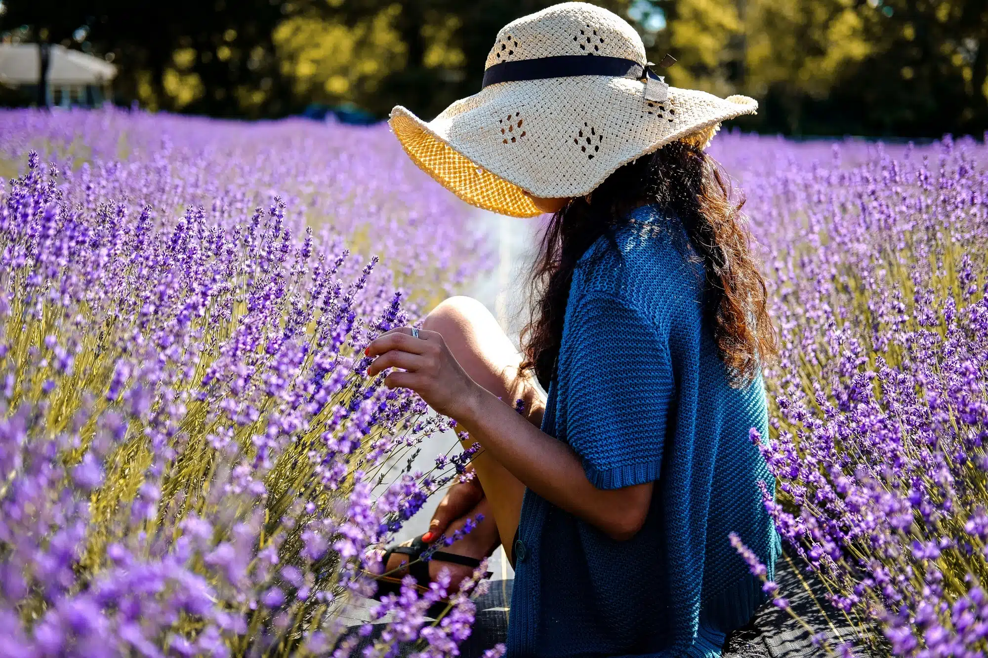 L'occitane, Pour fêter ses 50 ans, L’Occitane en Provence dévoile ses secrets de fabrication, Made in Marseille