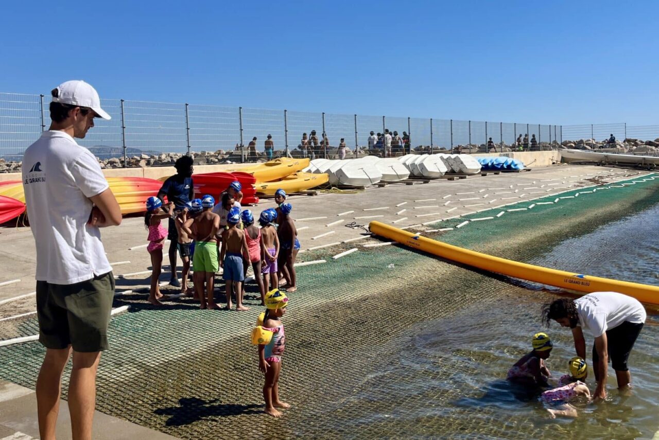 Terre-Neuves, Vidéo | Les chiens Terre-Neuve s’entraînent à sauver des vies sur les plages marseillaises, Made in Marseille