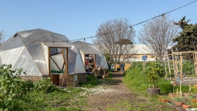 le talus ferme urbaine