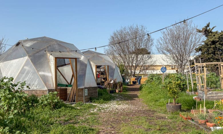 le talus ferme urbaine