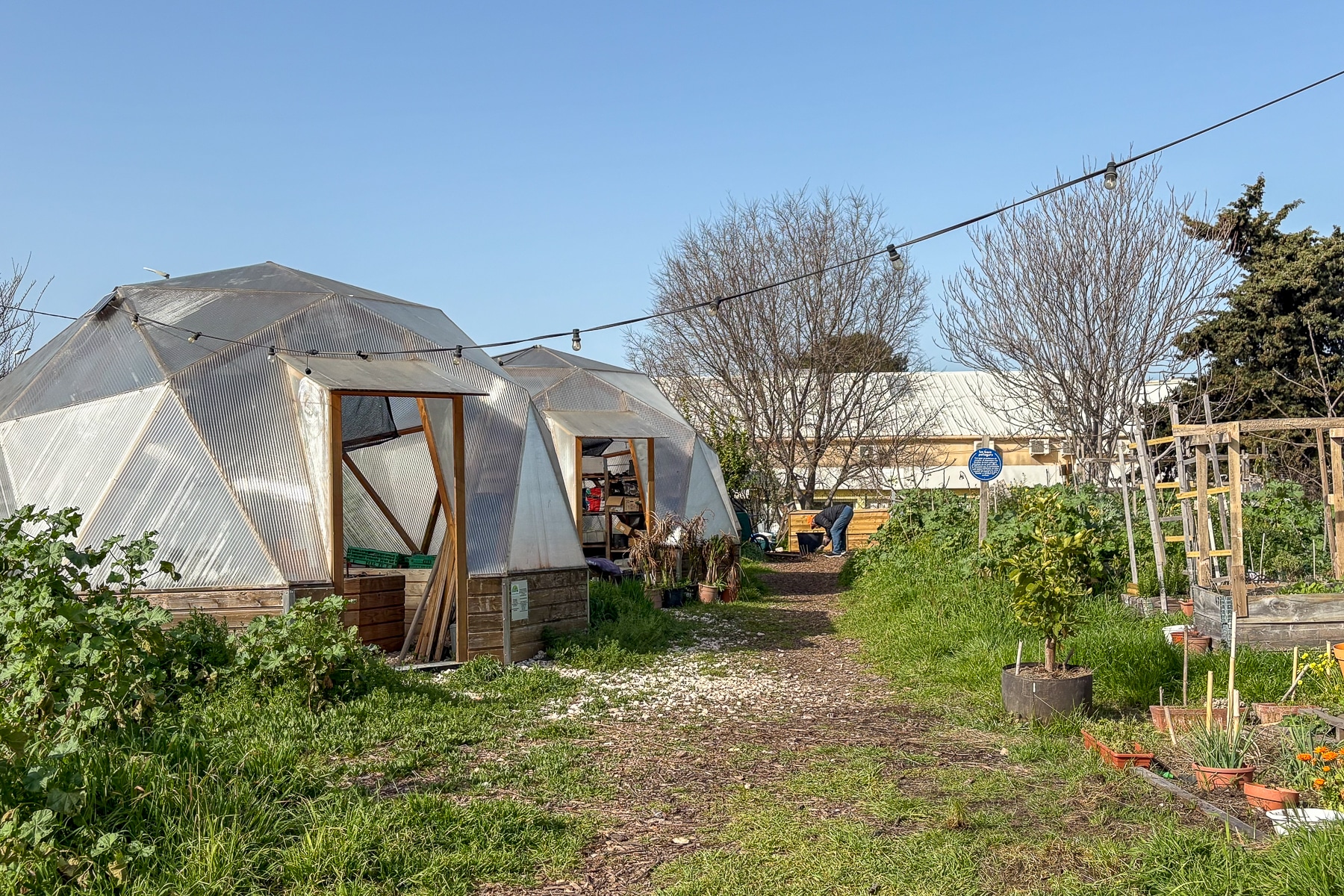 talus, Vid&eacute;o | Amput&eacute;e par la LNPCA, la ferme urbaine du Talus se r&eacute;invente, Made in Marseille