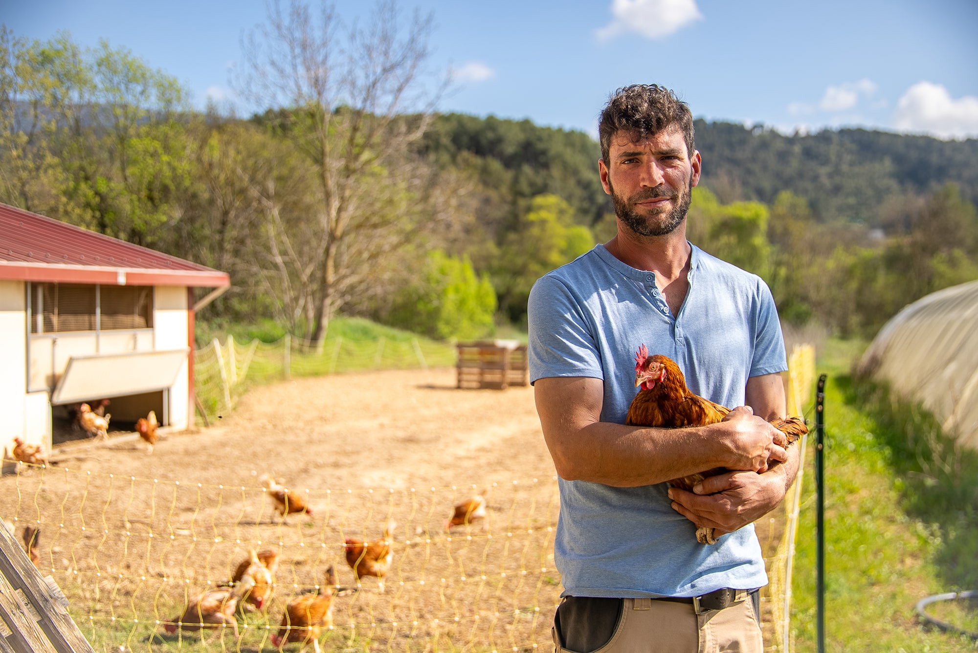 poules pondeuses, Vidéo | À la rencontre d&rsquo;un éleveur de poules pondeuses à Auriol, Made in Marseille