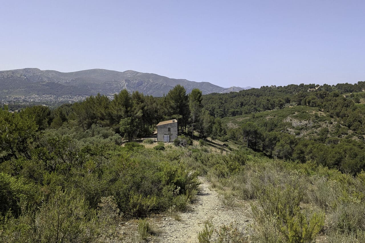 agricole, En images | À Marseille, la renaissance d&rsquo;un vieux domaine agricole sauvé du béton, Made in Marseille