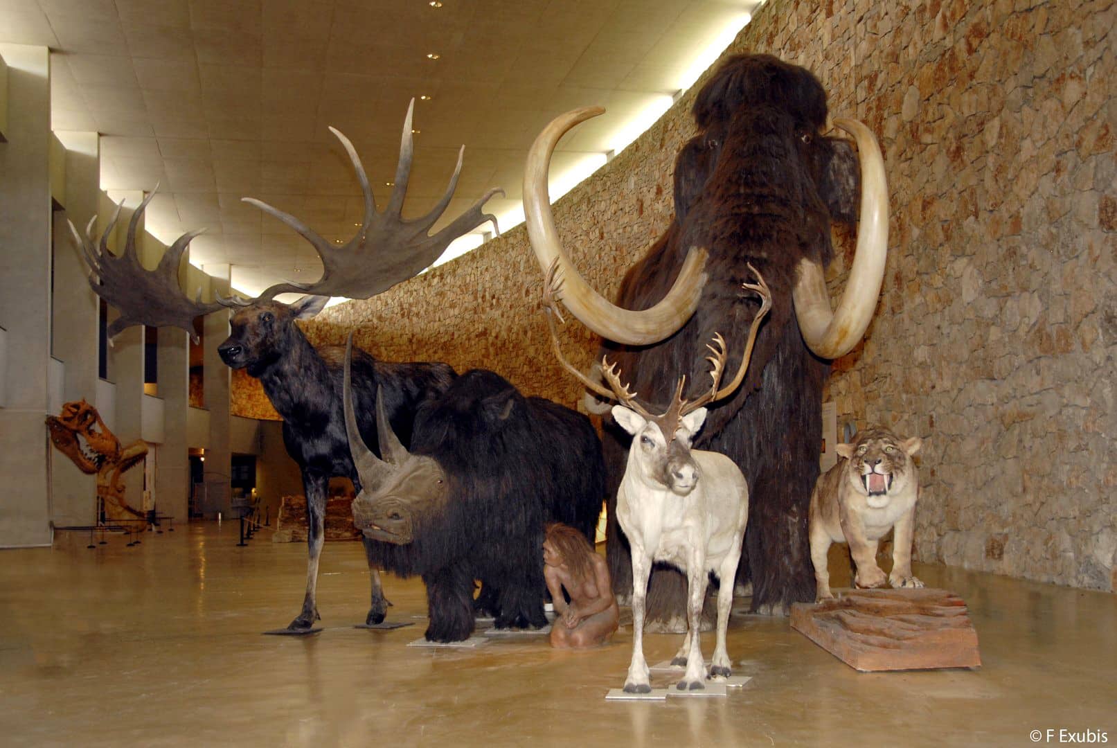 préhistoire, Une grande journée d’animations sur la Préhistoire au musée de Quinson, Made in Marseille