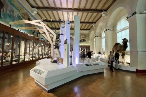 , Quels sont les musées incontournables à Marseille ?, Made in Marseille