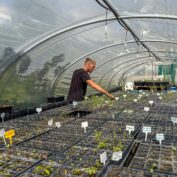 %%sitename%%, Made in Marseille — – v2, Made in Marseille