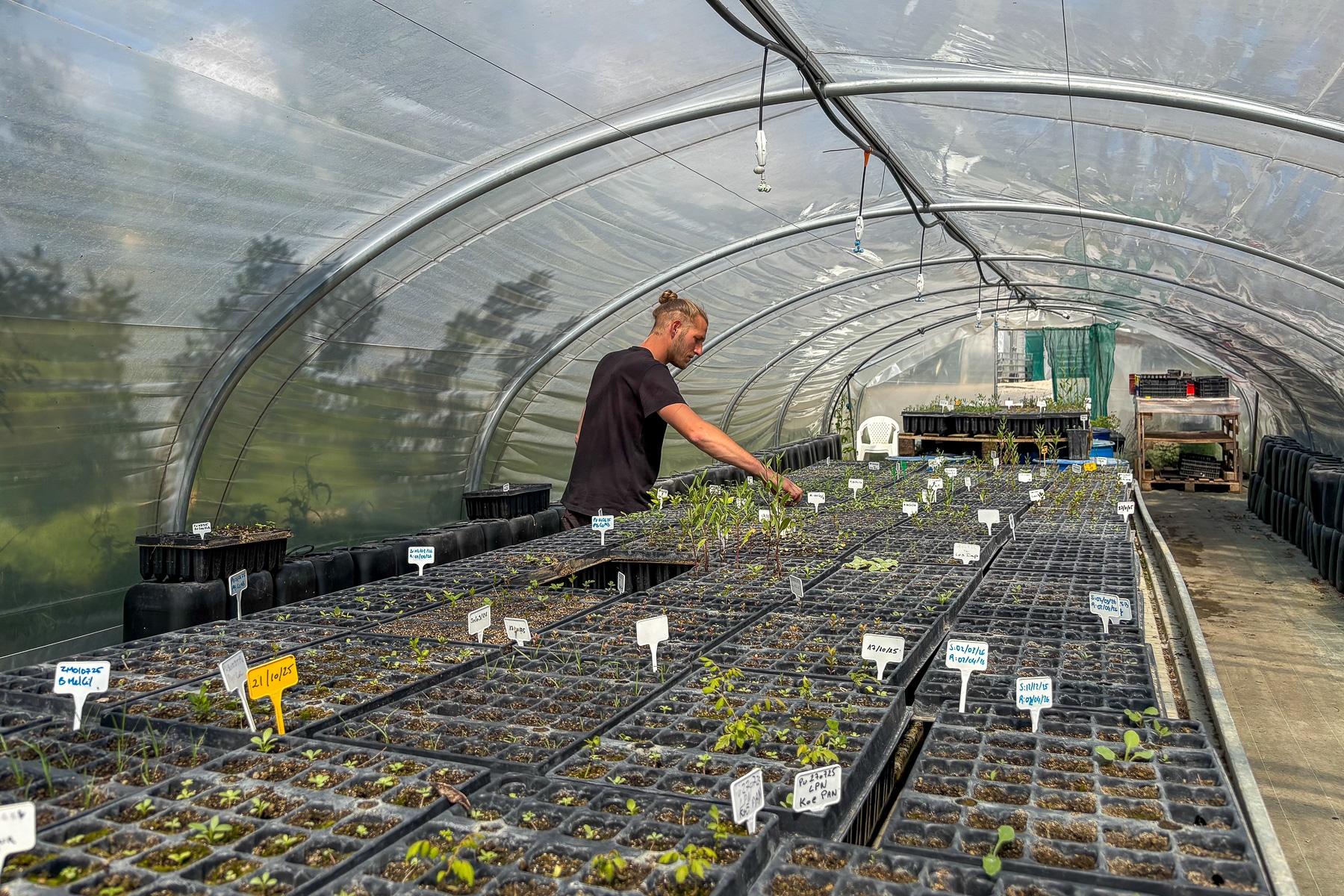 p&eacute;pini&egrave;re, Vid&eacute;o | Cette p&eacute;pini&egrave;re des quartiers Nord mise sur les plantes locales pour v&eacute;g&eacute;taliser la ville, Made in Marseille
