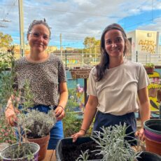 %%sitename%%, Made in Marseille — – v2, Made in Marseille