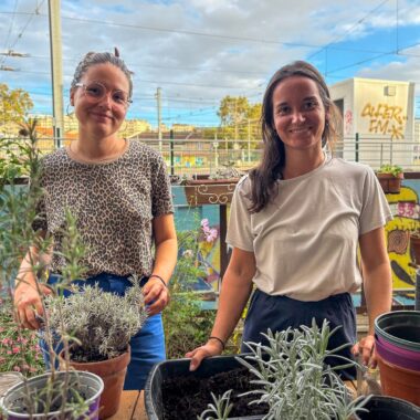 %%sitename%%, Made in Marseille, Made in Marseille