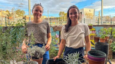 nouvelle pousse ressourcerie végétale