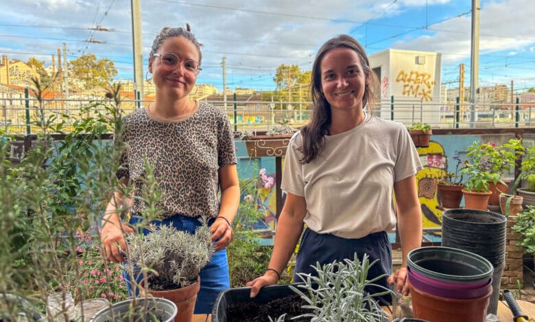 nouvelle pousse ressourcerie végétale