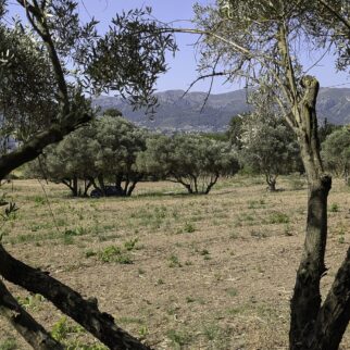 %%sitename%%, Made in Marseille — – v2, Made in Marseille