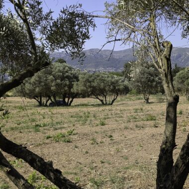 %%sitename%%, Made in Marseille — – v2, Made in Marseille