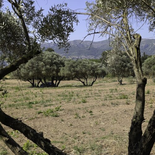 %%sitename%%, Made in Marseille — – v2, Made in Marseille