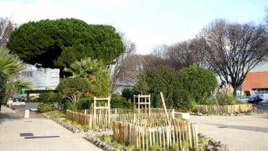 Parc Chanot aménagements extérieurs.