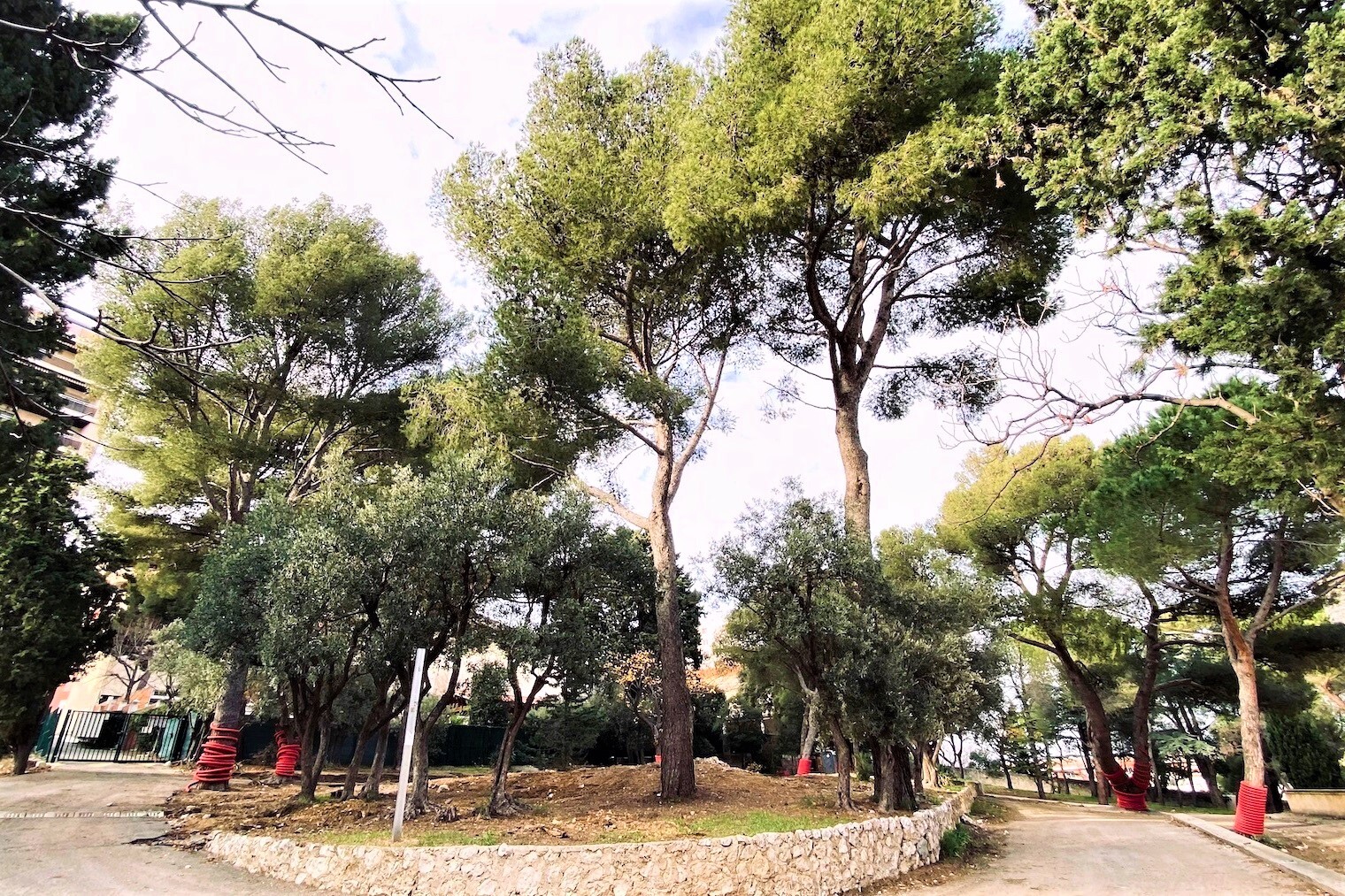 Le parc, La cure de jouvence du parc de la Cômerie avant son ouverture au public, Made in Marseille