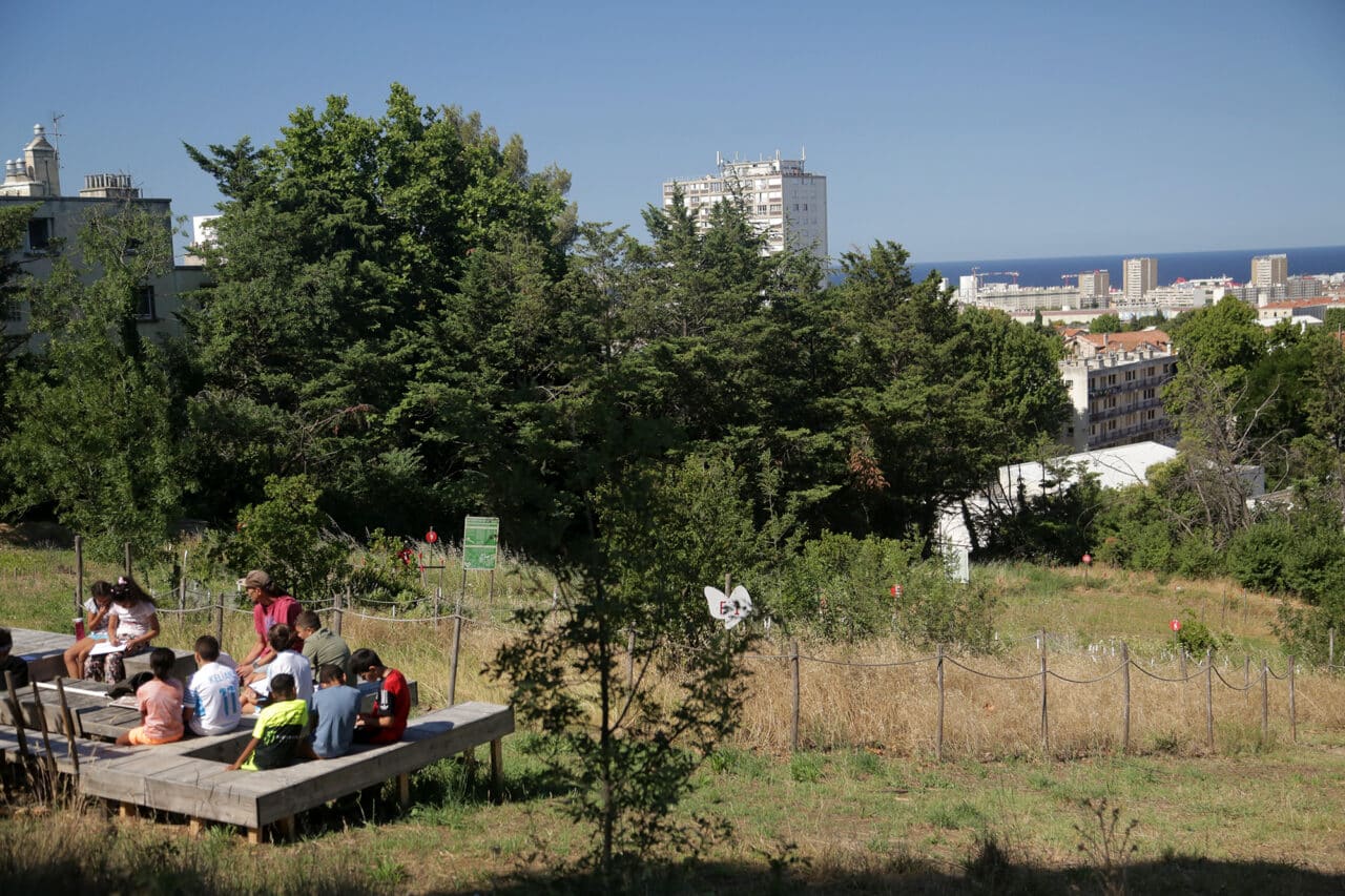 parc papillons, Vidéo | Au Nord de Marseille, un parc accélère le retour des papillons en ville, Made in Marseille