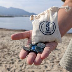 %%sitename%%, Made in Marseille, Made in Marseille