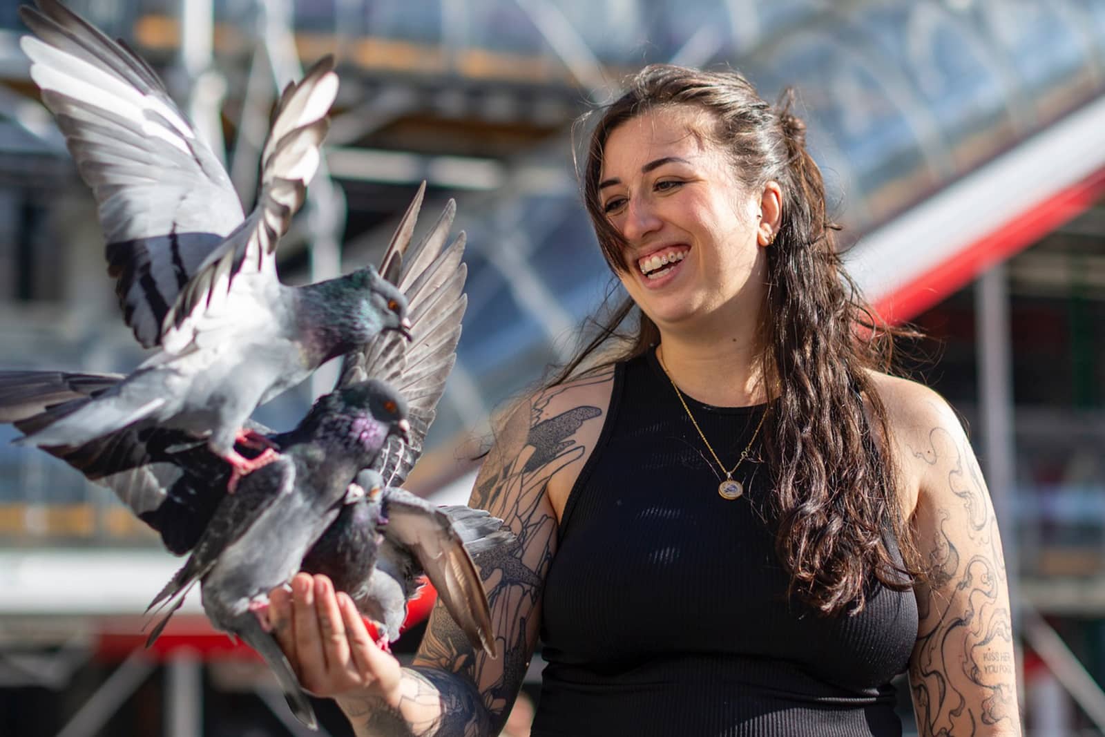 pigeons, Vid&eacute;o | Cette association marseillaise vole au secours des pigeons des villes, Made in Marseille