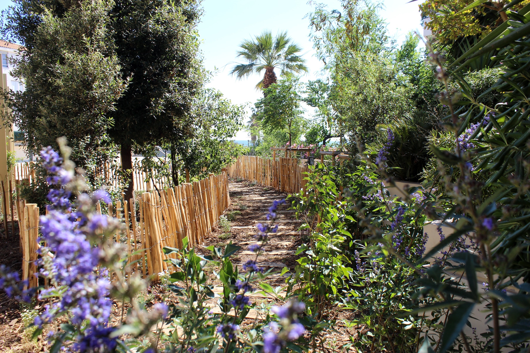 place de l'Honnêteté, En images | Un îlot de verdure a poussé place de l&rsquo;Honnêteté, face aux plages du Prado, Made in Marseille