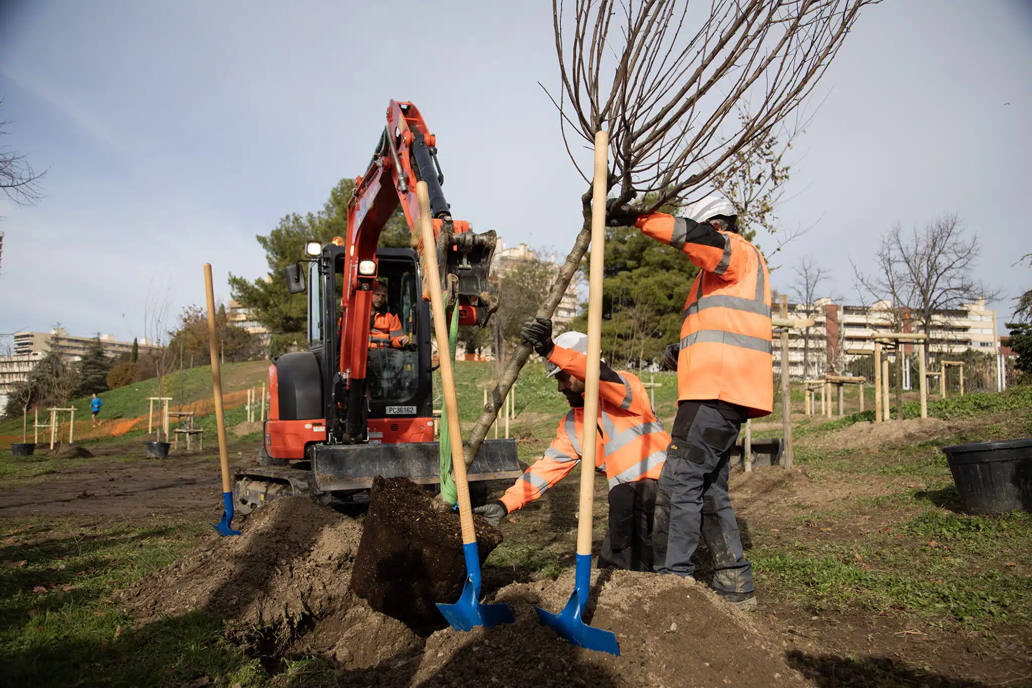 friche, Un nouvel espace boisé pour rafraîchir la Friche la Belle de Mai, Made in Marseille