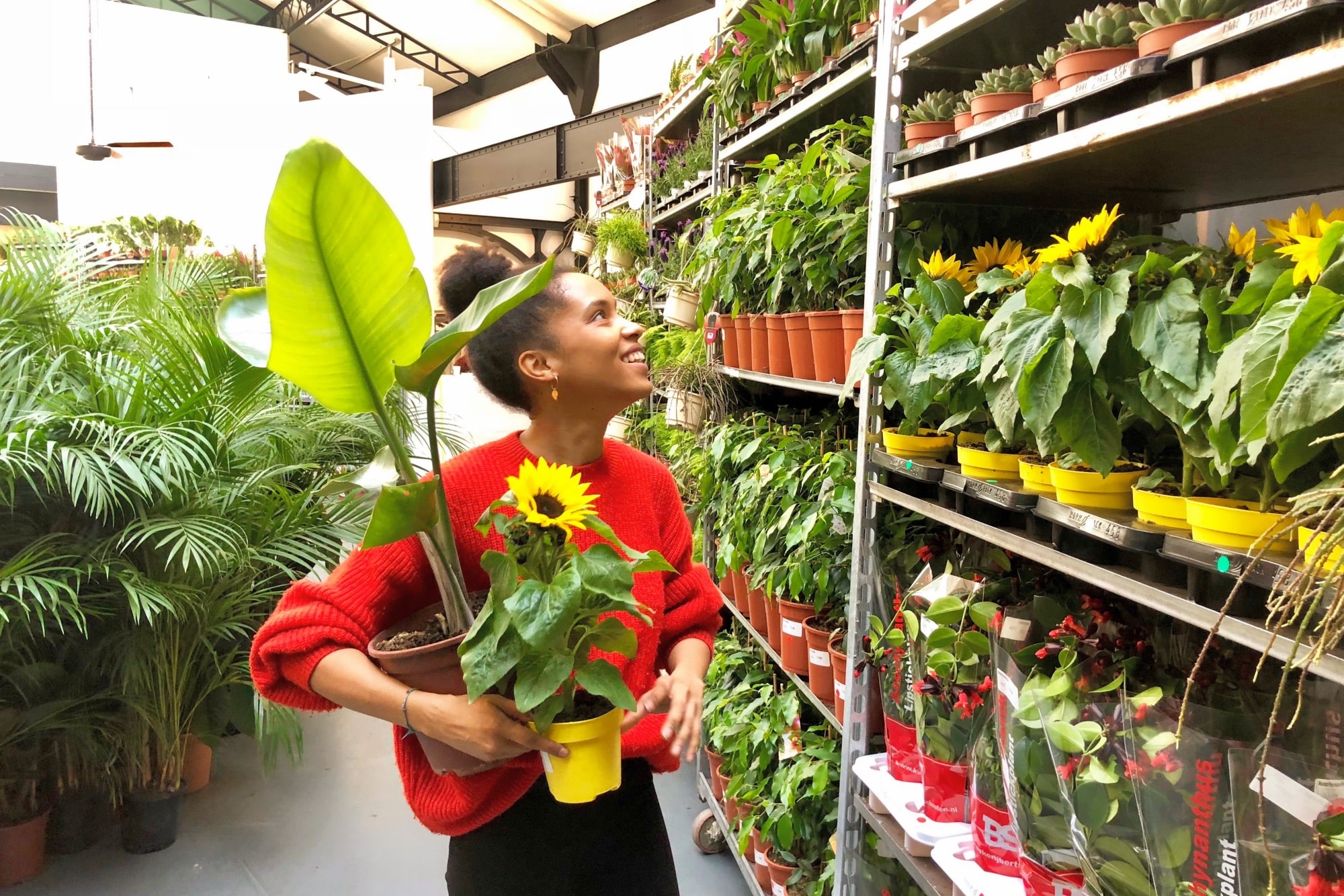 Docks, Une grande vente de plantes à petits prix aux Docks ce week-end, Made in Marseille