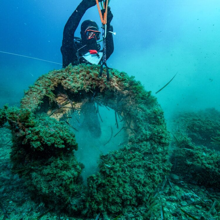 %%sitename%%, Made in Marseille — – v2, Made in Marseille