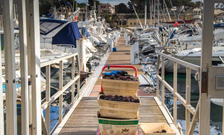 pêche oursins carry