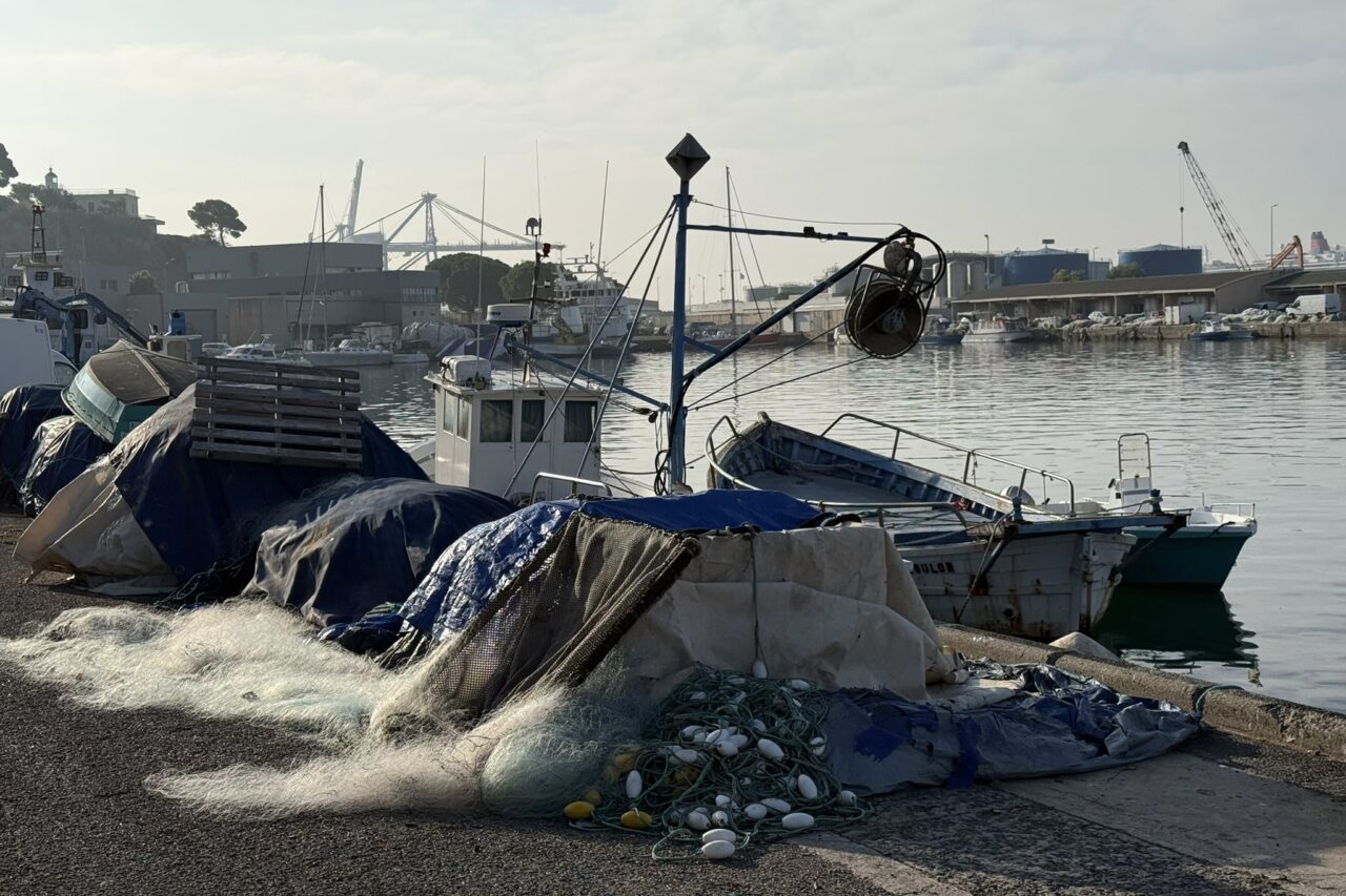 filae, À Marseille, Filae recycle les vieux filets de pêche en support pour végétaliser les façades, Made in Marseille