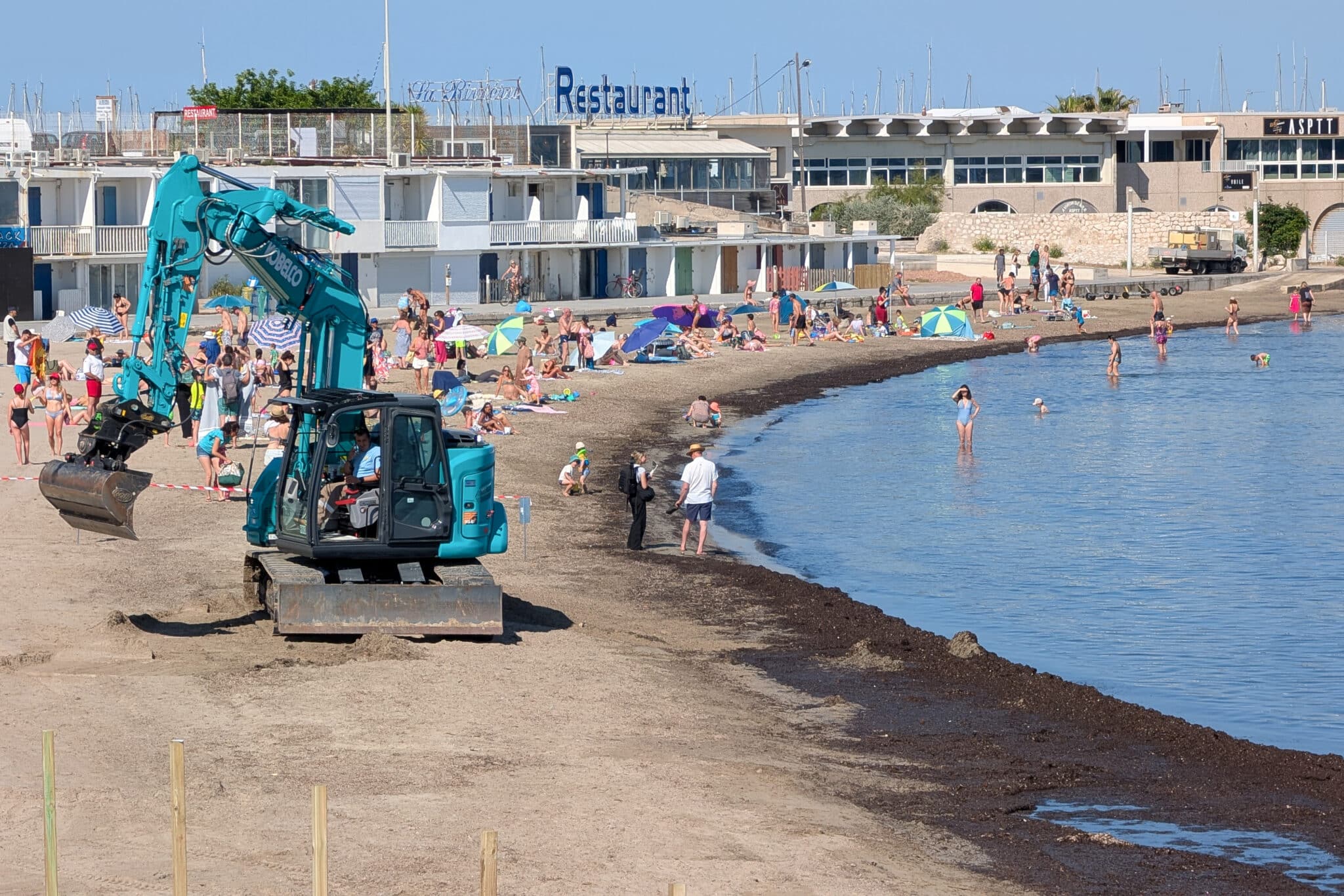 posidonie, Vid&eacute;o | Pourquoi Marseille cr&eacute;e des &laquo; mille-feuilles &raquo; de posidonie sur la plage de la Pointe-Rouge ?, Made in Marseille