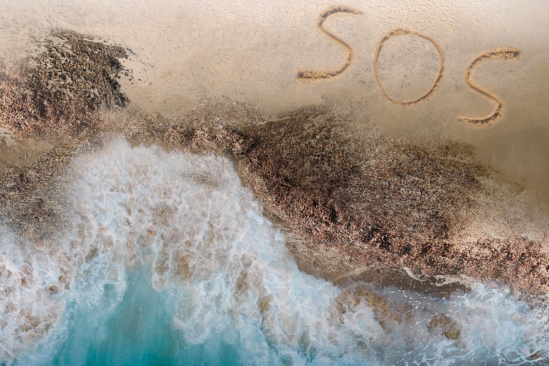 , Environnement : un SOS artistique sur la plage du Prophète pour préserver la posidonie, Made in Marseille