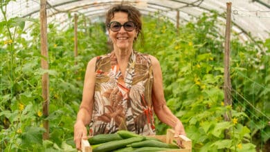 potager de gaïa