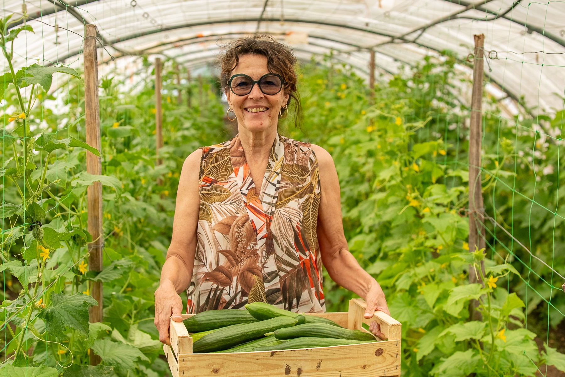 potager de ga&iuml;a, Vid&eacute;o | Au Potager de Ga&iuml;a, le mara&icirc;chage bio au service de l&rsquo;insertion &agrave; Gardanne, Made in Marseille