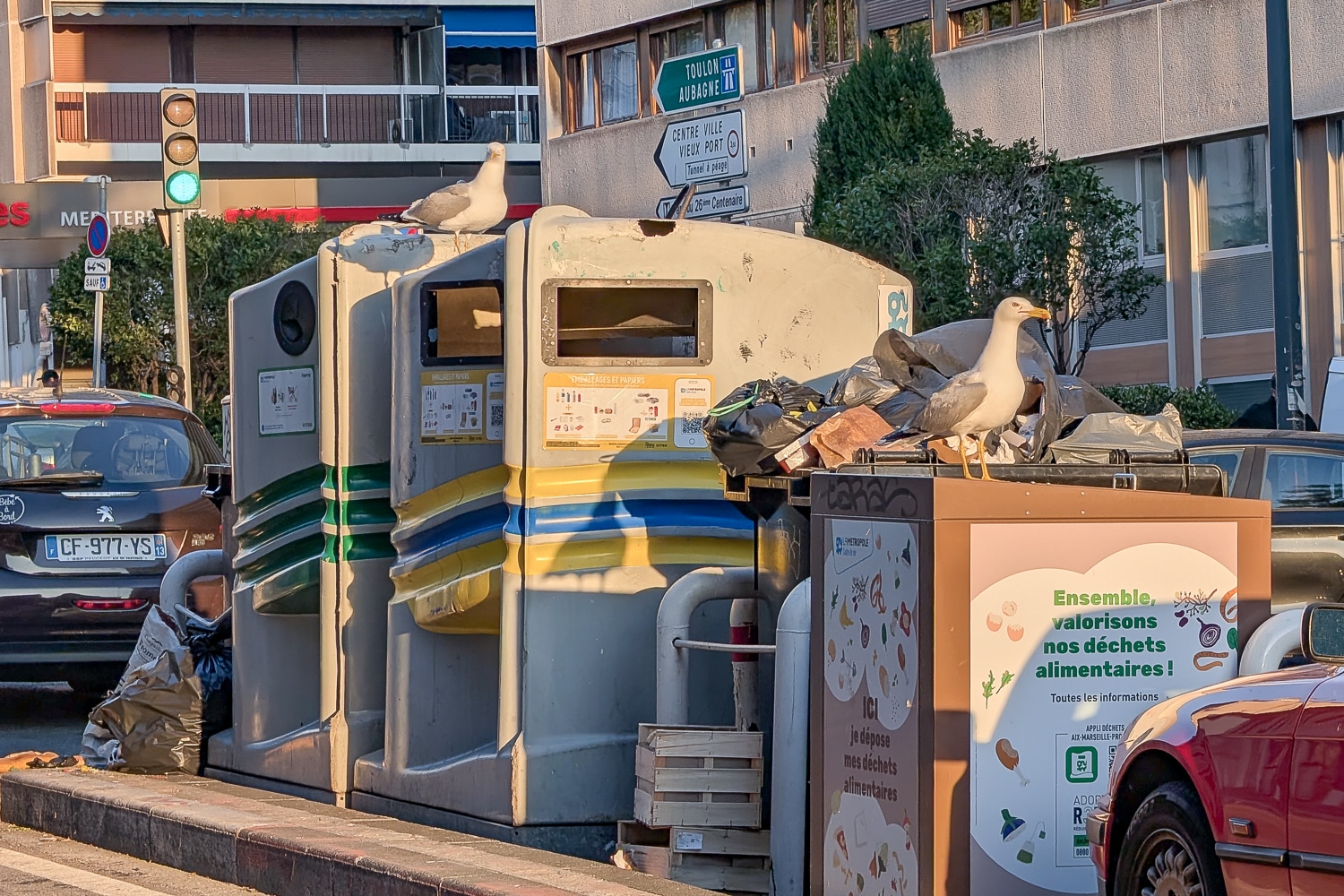 d&eacute;chets, Une enqu&ecirc;te en ligne questionne les Marseillais sur les d&eacute;chets pour les municipales, Made in Marseille