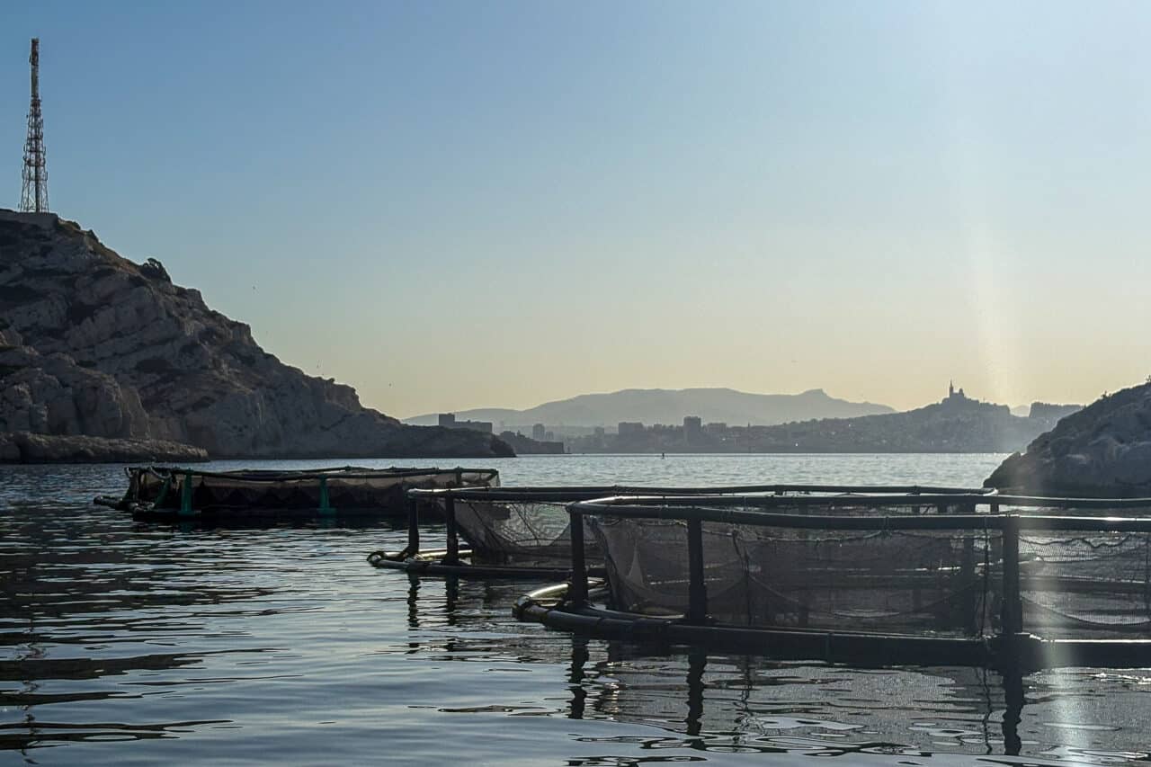 aquacole, Vid&eacute;o | Dans les coulisses de la derni&egrave;re ferme aquacole bio de France, au Frioul, Made in Marseille
