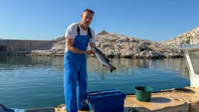 provence aquaculture frioul