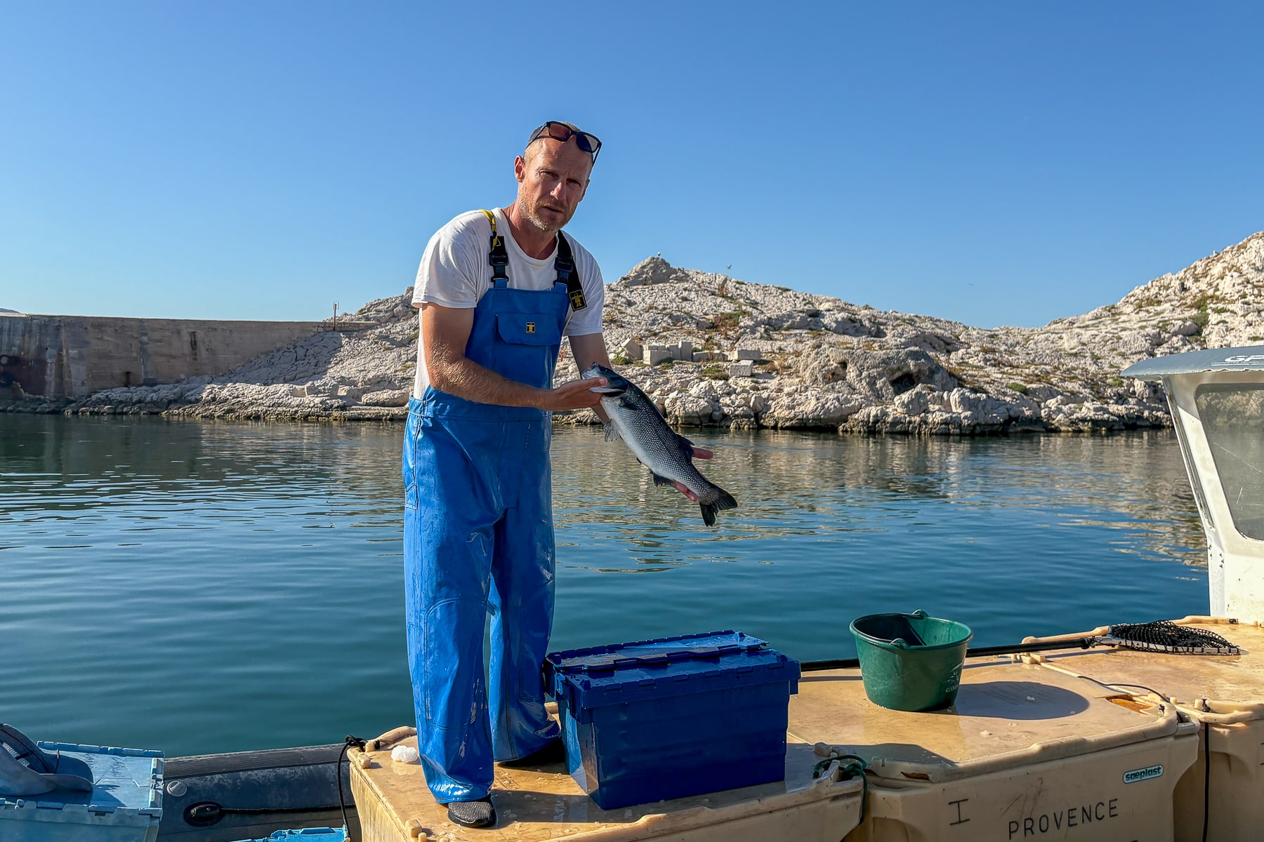 aquacole, Vid&eacute;o | Dans les coulisses de la derni&egrave;re ferme aquacole bio de France, au Frioul, Made in Marseille