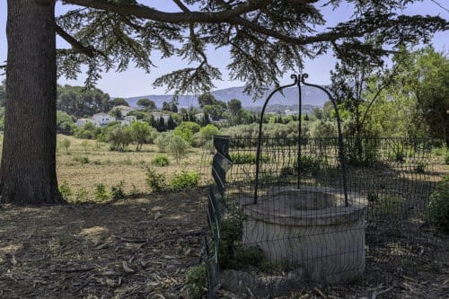 agricole, En images | À Marseille, la renaissance d&rsquo;un vieux domaine agricole sauvé du béton, Made in Marseille
