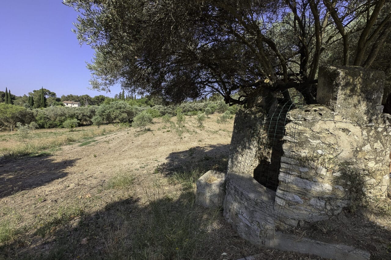 agricole, En images | À Marseille, la renaissance d&rsquo;un vieux domaine agricole sauvé du béton, Made in Marseille