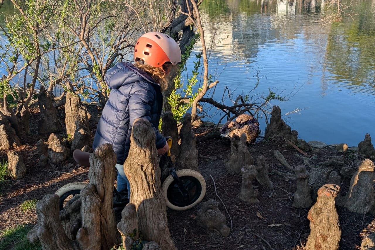 IHU, The IHU research center monitors the risk of new epidemics between humans and animals, Made in Marseille