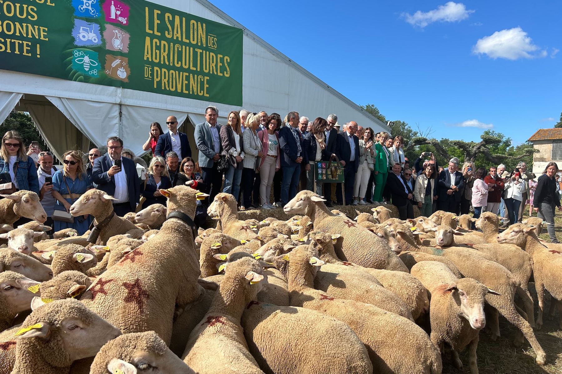 Salon des agricultures de Provence, Des trophées pour valoriser l&rsquo;innovation au Salon des agricultures de Provence, Made in Marseille