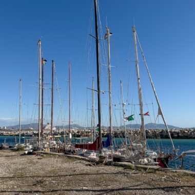 %%sitename%%, Made in Marseille — – v2 élections municipales, Made in Marseille