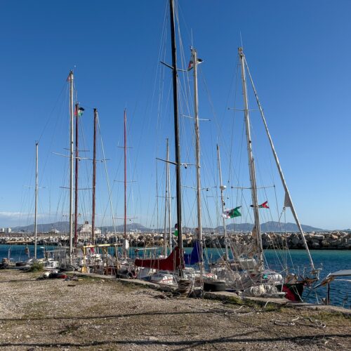 %%sitename%%, Made in Marseille — – v2 élections municipales, Made in Marseille