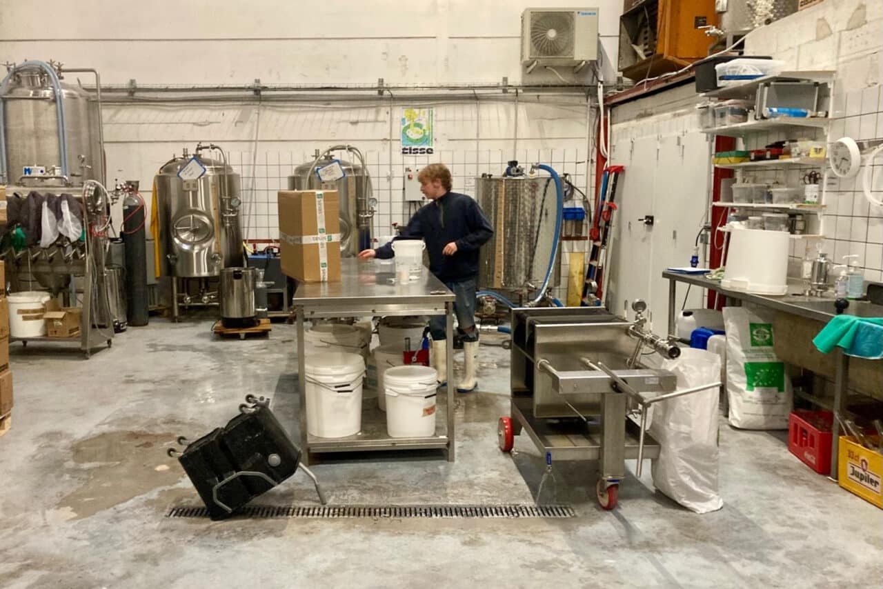 Tisse Kombucha, À Marseille, le Kombucha local Tisse grandit en coopérative avec la Brasserie de la Plaine, Made in Marseille