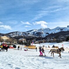 %%sitename%%, Made in Marseille — – v2, Made in Marseille