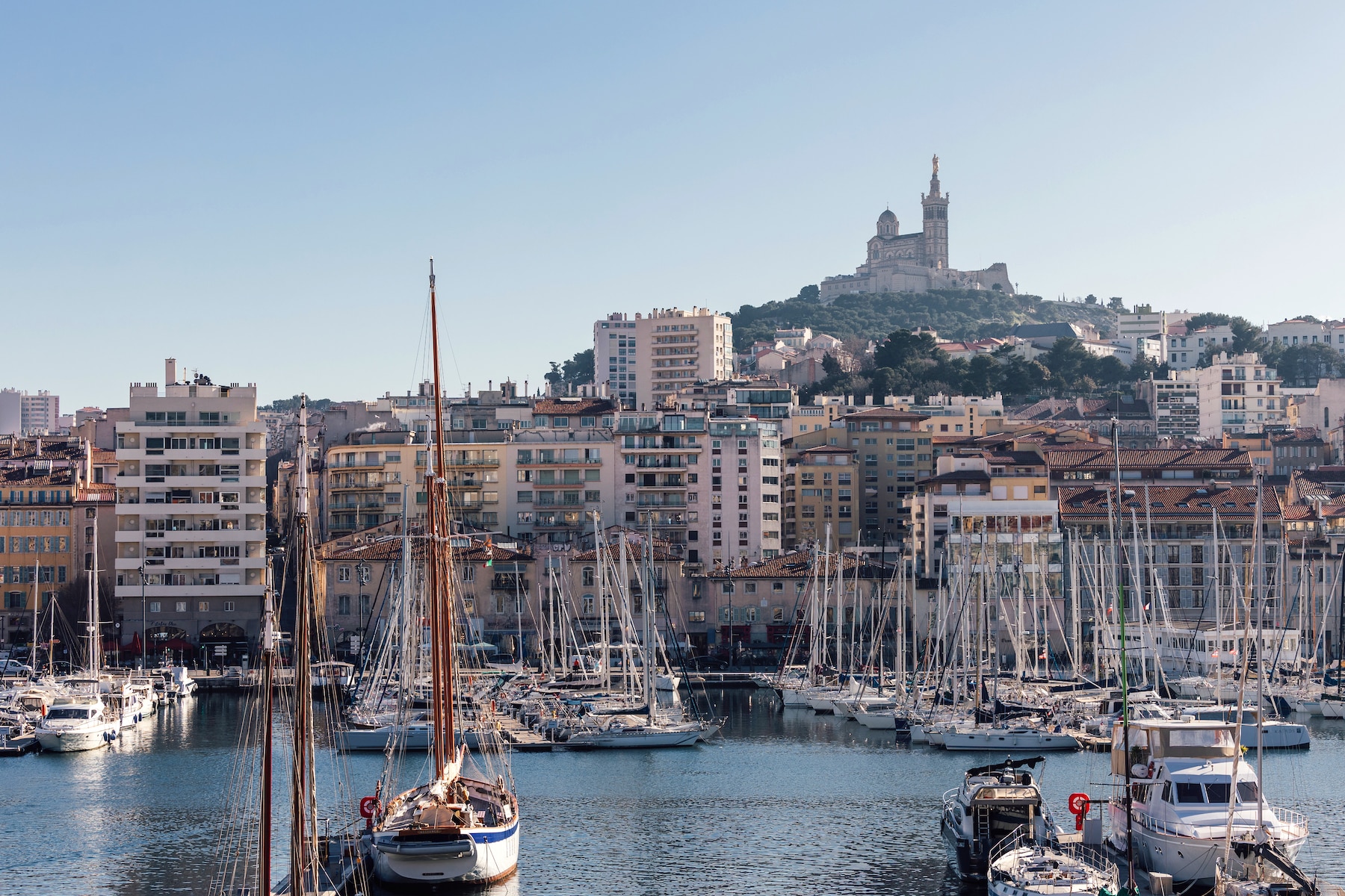 mars à table, Trois aïolis géants organisés à Marseille pour le festival Mars à Table, Made in Marseille