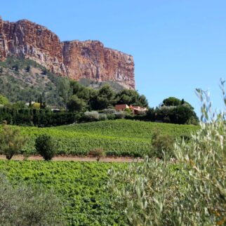 %%sitename%%, Made in Marseille — – v2, Made in Marseille