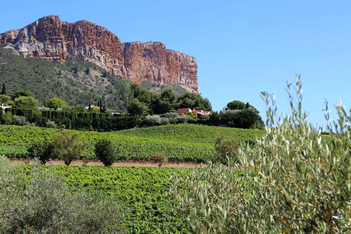 L'AOC Cassis, &Agrave; Cassis, les vignerons f&ecirc;teront en mai les 90 ans de leur appellation, Made in Marseille
